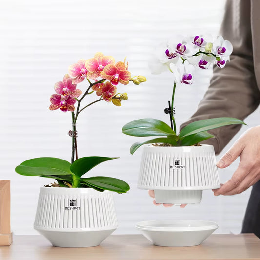 Orchid Pots with Holes Flower Pot for Repotting Plastic Planter Indoor-Outdoor Plants Home Decorative Air Plant Pot